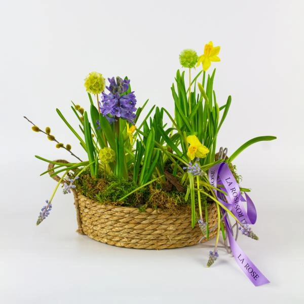 Утро в саду купить в Новосибирске