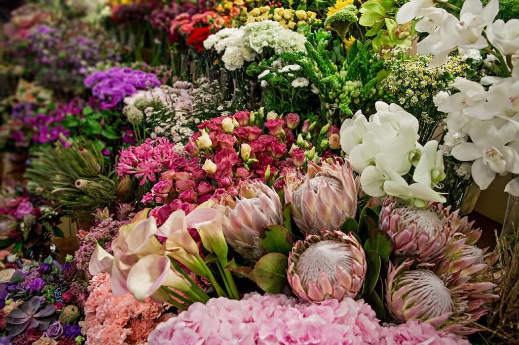 Магазин цветов в новосибирске цветы с доставкой в ессентуках заказать