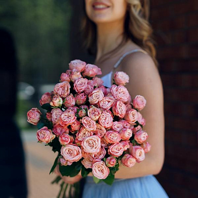 Кустовые розы Мадам Бомбастик купить в Новосибирске