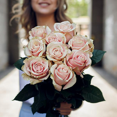 Розы Pink Mondial купить в Новосибирске