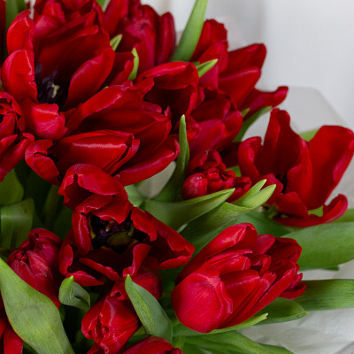 Букет красных тюльпанов