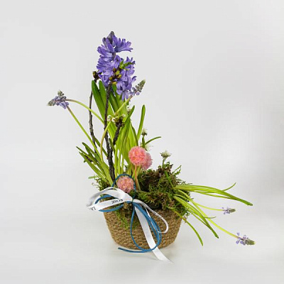 Ночная свежесть